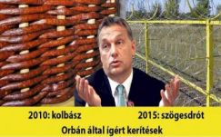 Bíró Béla: Odi et amo