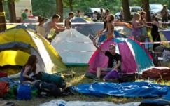 Romániai zsebtolvajokat fogtak a Szigeten