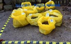 Székelyudvarhelyi drogkereskedő-hálózatot számoltak fel