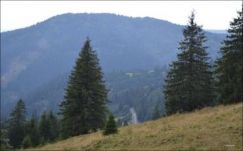 Tűz ütött ki a Békás-szoros – Nagyhagymás Nemzeti Parkban