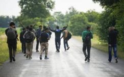 Több mint 1500 menekültet fogtak el szombaton a magyar határnál