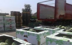 Magyarként árulták volna a román dinnyét, lebuktak