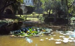 A víz a téma az idei Gernyeszegi Kastélypark Művésztelepen