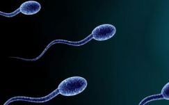 Mindennapos anyagok veszélyeztetik a férfiasságot