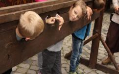 Szép hölgyek, jó urak, játszó kisdedek: megnyílt a középkori utca! (GALÉRIA)