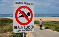 A cápa szájából mentette ki barátját egy férfi