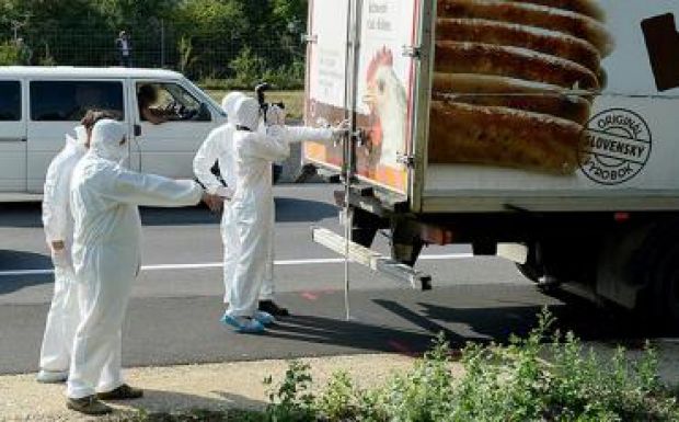 További igazolványok kerültek elő a halálfurgonból