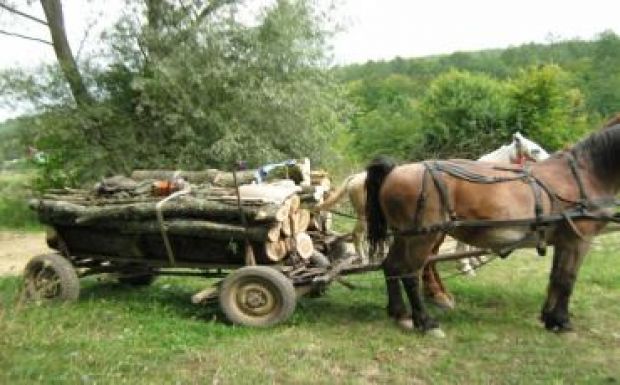 Tizenhárom méter mély szakadékba zuhant egy szekér Tusnádon