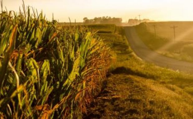 Jövő héten megérkezik a szeptemberi ősz Erdélybe