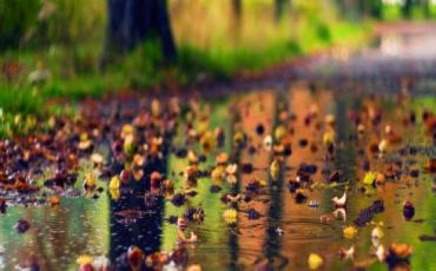 A szeptemberben megszokottnál mogorvább őszi napok következnek