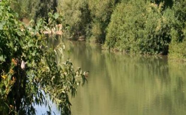 Székedi Ferenc: Szórványnapok