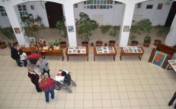 Másfél évtizedet ünnepel a HIFA-Románia