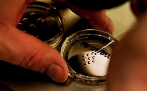 Európában is tervezik embriók genetikai módosítását