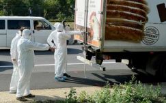 További igazolványok kerültek elő a halálfurgonból