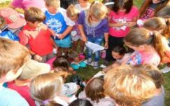 A háromszéki fogyasztóvédők rendőri kísérettel rohantak le egy gyerektábort