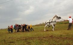 A Kolozsvári Magyar Lovasnapokon jártunk