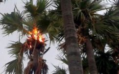 Villám csapott agyon huszonkét embert Indiában