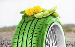 Pitypangból készítenek gumiabroncsot Svédországban