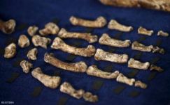 Bemutatkozott a mának egy eddig nem ismert ősünk: homo naledi