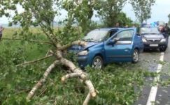 Vezetés közben rádőlt az autóra a fa, a sofőr meghalt