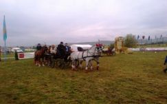 Megtartották hétvégén a VIII. Székelyföldi Lovas Ünnepet