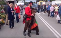 Medvével ment szavazni egy orosz férfi