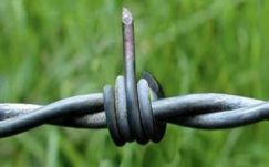 Krebsz János: Hol a határ?