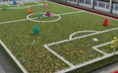 Első alkalommal szervezik meg a romániai kisebbségek futballbajnokságát 