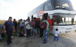 Már a szerb-magyar határról is indult busz a horvát határ felé