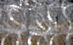 Biró Rozália: nemcsak a menekültek befogadása a kihívás