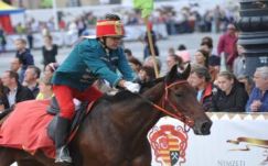 Ismét a My Boy Mennydörgés nyerte a Nemzeti Vágtát