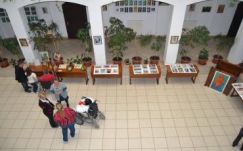 Másfél évtizedet ünnepel a HIFA-Románia