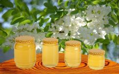 Több akácmézet vesznek Magyarországtól a japánok 