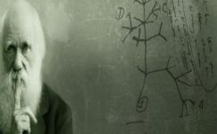 Bíró Béla: A véletlenvallás kérdésessége