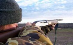 Tilos a vadászat a román-magyar határon a menekültválság miatt