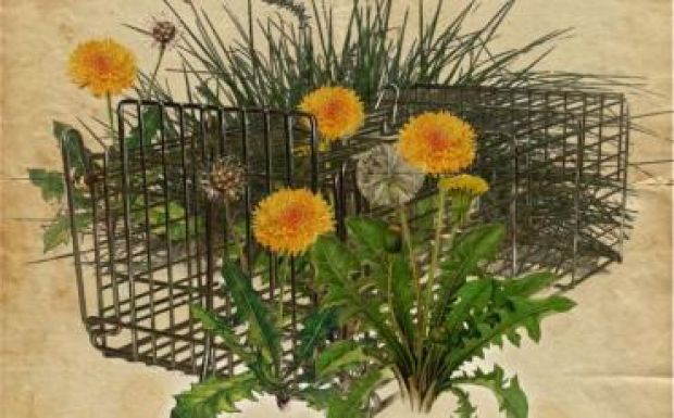 Szemenszedett igazság: az új évad első bemutatója a Csíki Játékszínben