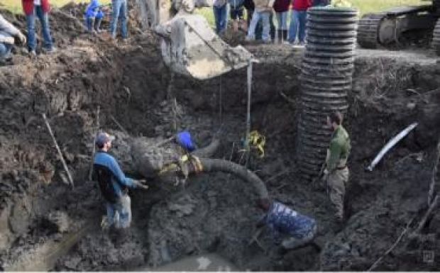 Több ezer éves mamut csontvázára bukkant birtokán egy amerikai gazda