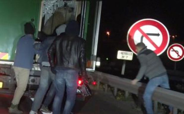 Egy jegesmedvével utaztak a menekültek Angliába