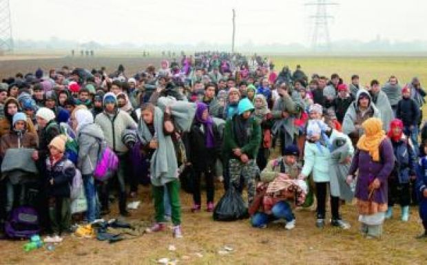 Ösztöndíjat is felajánlanak a Romániába érkező menekülteknek