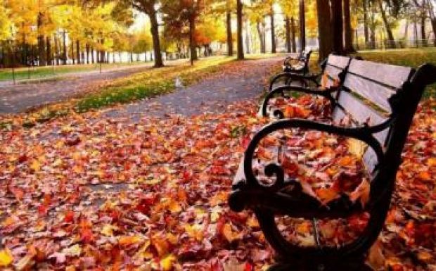 Nappal napsütés, éjszaka fagy várható a hétvégén