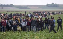 Kiürült a horvátországi opatovaci menekülttábor