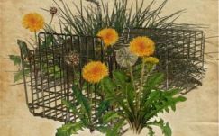 Szemenszedett igazság: az új évad első bemutatója a Csíki Játékszínben