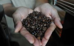 Hatalmas hiány alakulhat ki a kávé piacán