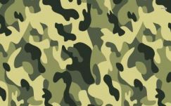 Krebsz János: Kamuflázs