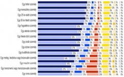 A zsidókat is jobban utáljuk, mint a magyarországiak