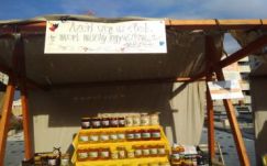 Rigmusos mézfesztivál volt Csíkszeredában 