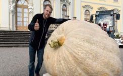 Több száz kilós tökök versenyében győzött Svájc
