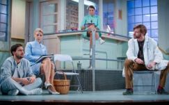 Fészekrablás Budapesten – a Kakukk leszállt