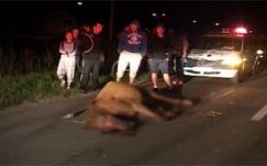 Szokatlan baleset történt egy székelyföldi nagyközségben