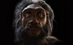 Kilencven másodperces videó az emberi evolúció ma ismert állomásairól